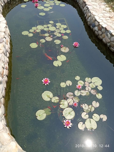 莹特丽环境保护先锋---污水处理系统